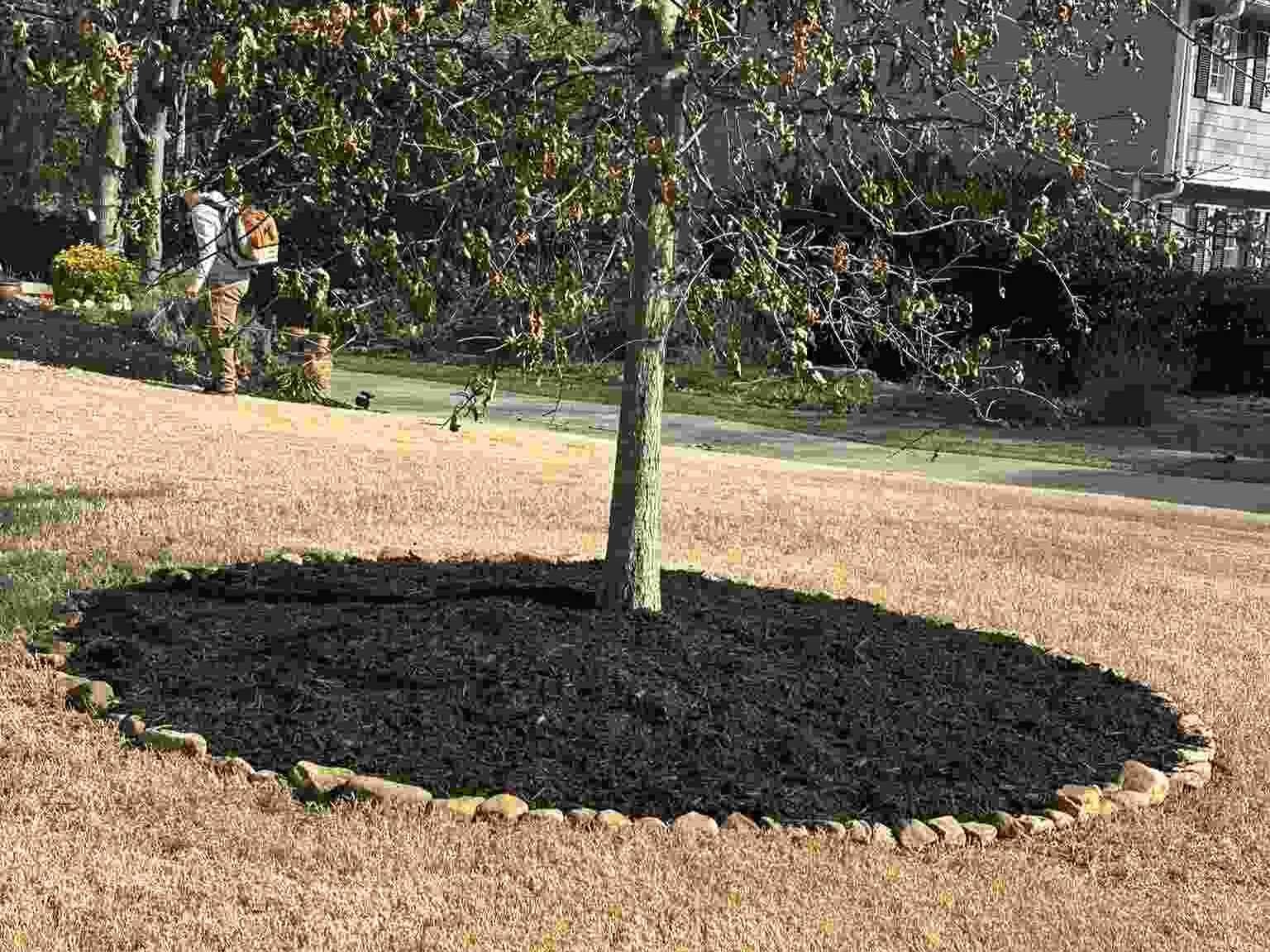 AQ Landscape Group LLC