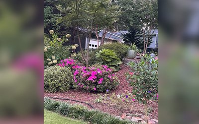 AQ Landscape Group LLC