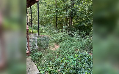 AQ Landscape Group LLC